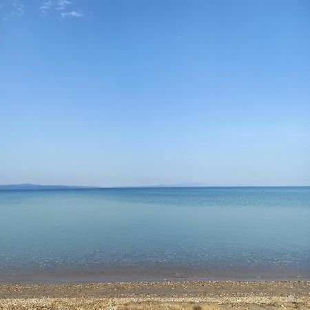 尼坡帝Kalelia公寓 外观 照片
